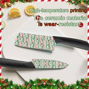 Cuchillo de Carne de Cerámica de Entrega Rápida con Mango de Plástico Estampado de Flores para Uso Diario, Precio de Fábrica, Suministro al por Mayor, Envío Gratuito - Product Image 5