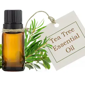 Aceite esencial de árbol de té de calidad superior para la piel Aceite aromático natural Aceites esenciales de masaje orgánicos puros