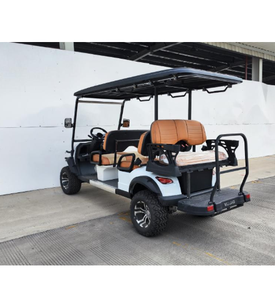 Carritos de golf Precios baratos Buggy Car para la venta Mini Street Legal Golf Cars 2 Seater - Product Image 3