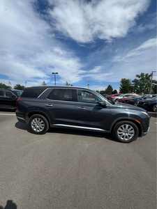 Hyundai Palisade SEL Sport 2024, Bien Cuidado y Limpio - Product Image 4