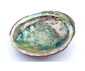 Top-Rated <b>Abalone</b> <b>Shell</b> Gemstones for Festive Vibes <b>Abalone</b> <b>Shell</b> Crystals - A Touch of Oceanic Elegance - Product Image 3