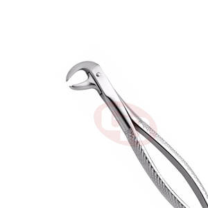 Fórceps de extracción dental ligeros con manejo firme Fórceps de extracción dental - Product Image 6