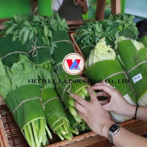 LES PRODUITS DE FEUILLES DE BANANE CONGELÉES PROVENANT DU VIETNAM SONT RESPECTUEUX DE L'ENVIRONNEMENT ET ONT DE NOMBREUSES UTILISATIONS - Product Image 6