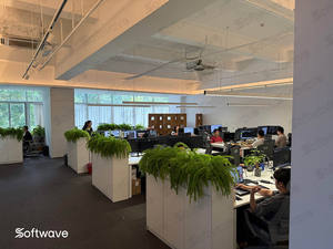 Softwave se centra en servicios de software de alta gama y proporciona guía de instalación profesional. - Product Image 3