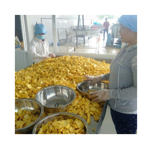 Chips de jacquier croustillantes de qualité supérieure 100% collation de fruits secs sous vide naturelle sans sucre ajouté OEM disponible - Product Image 1