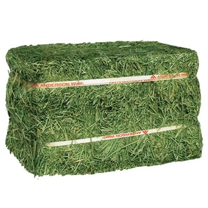 Heno de Alfalfa Premium en Pacas para Alimentación Animal, Fresco, Verde, de Alta Calidad, Grado Alimenticio, 5% de Humedad - Product Image 3