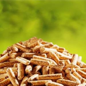 Pellets de madera de pino de 6mm para calderas de calefacción eficientes Estufas de pellets BBQs Combustible renovable limpio - Product Image 4