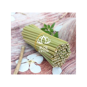 หลอดหญ้าสีเขียวแบบย่อยสลายได้จากเวียดนามอุปกรณ์สำหรับบาร์หลอดดูดน้ำเป็นมิตรต่อสิ่งแวดล้อม - Product Image 1