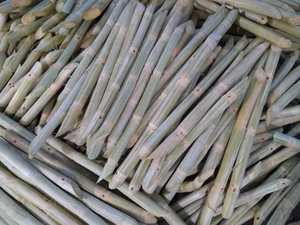 Producto de Alta Calidad, Caña de Azúcar Congelada de Vietnam, Producto de Alta Demanda para la Elaboración de Concentrado de Jugo y Bebidas en el Sector Industrial Global - Product Image 2