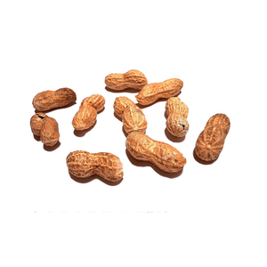 Cacahuetes salados tostados, chiles picantes secos, cacahuete frito, cacahuete, lata a la venta - Product Image 5