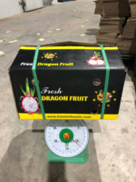 Fruit du dragon blanc frais de qualité supérieure et croustillant pour le grignotage et le jus