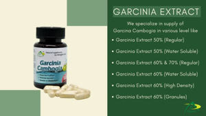 Extracto de Garcinia Cambogia 70%, Proveedor Apex International Manufacturer, 24 Meses de Vida Útil - Product Image 3