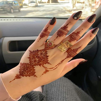 Poudre de Henné Naturel du Maroc à l'Extrait de Rose, Teinture Capillaire, Art Corporel Mehndi, Qualité Cosmétique, Vente en Gros, OEM, Marque Privée