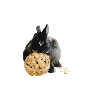 Eco Friendly Water Hyacinth Chew Ball Natural Fiber Pet <b>Toy</b> Safe Durable Chewing <b>Toy</b> For Small <b>Animals</b> Indoor Outdoor - Product Image 3