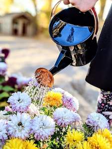 บัวรดน้ำในร่ม ความจุ บัวรดน้ำน้ำหนักเบาและง่ายต่อการรดน้ำสำหรับพืชในบ้าน - Product Image 6