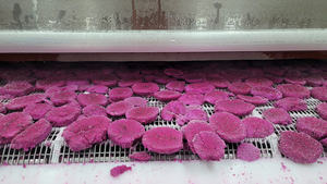 Fruta de dragón congelada en varios cortes con color brillante y sabor fresco adecuado para bebidas frías e industria de procesamiento de alimentos - Product Image 2