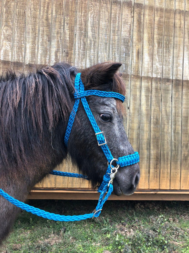 Bleu