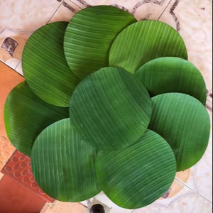 ใบตองสดแช่แข็งใบตองผลิตภัณฑ์จากธรรมชาติจากเวียดนาม100% ใบกล้วยธรรมชาติปลอดสารพิษสำหรับห่ออาหาร - Product Image 1