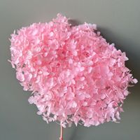 Hydrangea miniature préservée de qualité supérieure, fleurs éternelles à tige unique pour centre de table élégant de mariage et décoration intérieure de fête
