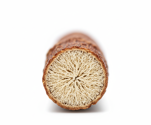 Zencrest ไม้ทำความสะอาดฟันแบบธรรมชาติรักษาฟันด้วยการดูแลเหงือกเพื่อสุขภาพฟันเป็นมิตรกับสิ่งแวดล้อมผลิตภัณฑ์รักษาฟันจากไม้รักษาฟัน - Product Image 1