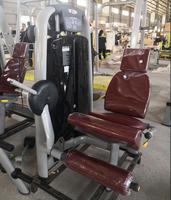 Machine de presse à jambes professionnelle à tube ovale pour entraînement de force, usage commercial et domestique, meilleur équipement de fitness, extension de jambes assise
