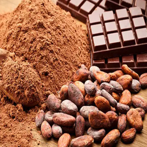 Polvo de cacao orgánico ecológico | Polvo de cacao alto en grasa de grado de lujo con certificación de Comercio Justo | Color y aroma profundos - Product Image 5