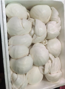 Tranches de viande de noix de coco surgelées du Vietnam best-seller et haute qualité garantie - Product Image 6