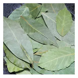 Spices supplier wholesales top quality new crop best bay leaves 100% natural spices bay leaf seasoning bay leaves for sale