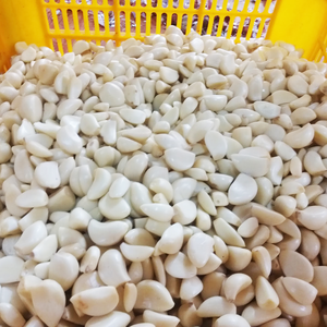 Gousses d'ail pelées surgelées emballées sous vide, ail prêt à l'emploi pour la transformation des aliments et l'exportation | Ms Jessi - Product Image 2