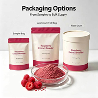Bulk Fruitpoeder Collectie Aardbei Blauwe Bes Mango Framboos Cranberry Spraygedroogd Vriesgedroogd Poeder