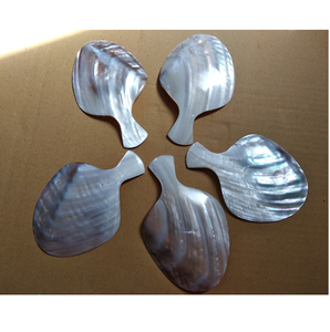 High Mother Pearl Nácar Shell Ecológico Mango largo Cuchara para servir Estilo americano para degustación de comida Ocasiones de fiesta inspiradas - Product Image 6