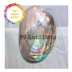 Authentic Mother of Pearl Plate from Vietnam Handmade Caviar Dish and Serving Plate for Special Occasions and Gifts - Product Image 5