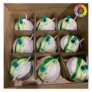 <b>Fresh</b> <b>Coconut</b> Diamond Cut <b>Coconut</b>, Natural <b>Fresh</b> <b>Coconut</b> with Thumb Button, <b>Fresh</b> <b>Coconut</b> Diamond Cut Ready to Drink - Product Image 2