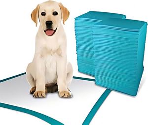 Tapis d'apprentissage pour chiots, absorbants, jetables, anti-fuites, écologiques, pour animaux de compagnie - Product Image 1