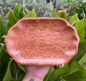 จานไม้มะพร้าวอุปกรณ์รับประทานอาหารจากธรรมชาติที่เป็นมิตรกับสิ่งแวดล้อมผลิตจากกะลามะพร้าวรีไซเคิลเพื่อการอยู่อาศัยที่ยั่งยืน - Product Image 2