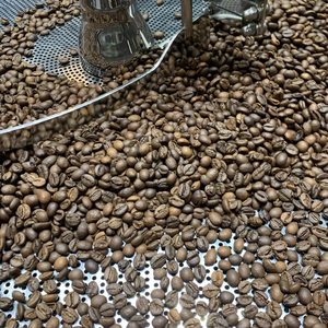 เมล็ดกาแฟโรบัสต้าคั่วเวียดนามขายดี รสเข้มข้น คาเฟอีนสูง รับผลิตแบบ OEM ODM มีหลากหลายรสชาติ สำหรับส่งออก ขายส่ง - Product Image 6
