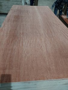 Contrachapado de abedul duradero Bintangor para almacenes Aplicación de ambos lados para embalaje - Product Image 3