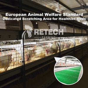 Struttura in Acciaio per Allevamento Polli, Design a H, 3 Livelli, Gabbie per Polli da Carne <span class=keywords><strong>e</strong></span> Riproduttori, Attrezzatura per 10.000 Polli - Product Image 6