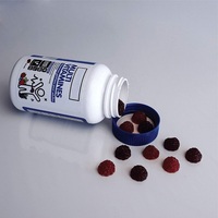 Gommes multivitaminées de qualité supérieure pour adultes Vitamines A B C D E Végétariennes Sans OGM Sans gluten Sans sucre