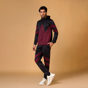 2025 venta al por mayor hombres Premium algodón chándal Joggers ligero Sudadera con capucha logotipo personalizado impreso sólido Casual invierno - Product Image 4
