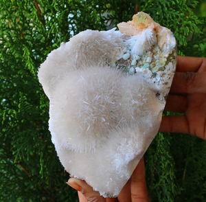 Mesolita en matriz de minerales espécimen con apofilita DE LA India - Product Image 1