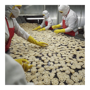 Raíz de Loto Seca, Tubérculo de Loto Natural en Rodajas Preparadas con Material Vegetal Seco de Calidad, Perfecto para Recetas de Salteado, Vietnam - Product Image 5