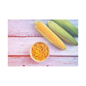 Maïs jaune sans OGM à grand volume destiné au commerce international et aux agro-industries - Product Image 5