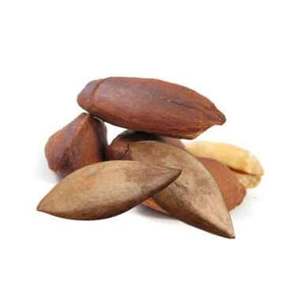 Premium Raw Pili Nuts Whole Kernels for Snacking Baking and <b>Confectionery</b> Production For Sale - Product Image 1