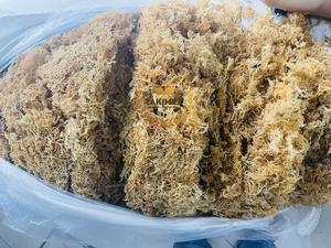 เจลมาส์แห้ง (สาหร่าย Eucheuma cottonii) จากเวียดนาม - Product Image 5