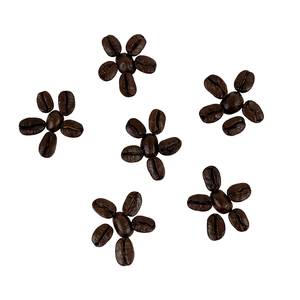 เมล็ดกาแฟโรบัสต้าคั่วแบบแห้ง ขายส่ง ปลูกอย่างยั่งยืนในเวียดนาม - Product Image 4