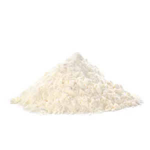 Pure Katira Gond Powder | Indian Grade Organic Herbal Extract Gond Powder | Organic Katira Gond Powder (Tragacanth gum)