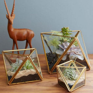 Diferentes formas de alta calidad, único, atractivo, mejor diseño, marco de Metal, Terrario de vidrio transparente, decoración para interiores y exteriores - Product Image 4