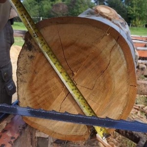 Teak <b>Wood</b> <b>Log</b> Timber <b>Logs</b>, Pine <b>Wood</b> <b>Logs</b> Timber <b>Woods</b> for Wholesale - Product Image 3