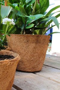 Macetas biodegradables para plantas/maceta de fibra de coco con precio barato y alta calidad natural de Eco2go Vietnam - Product Image 5